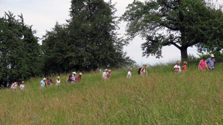 Spaziertalks durch den Thurgau